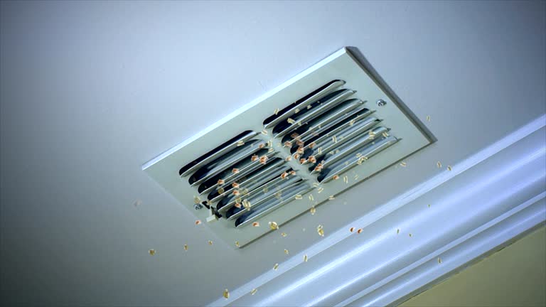 Best Local Air Duct Cleaning Services  in Macon, MS